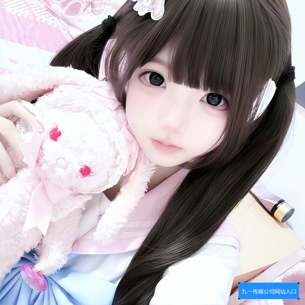 九一传媒公司官网入口有哪些，如何便捷访问和使用？